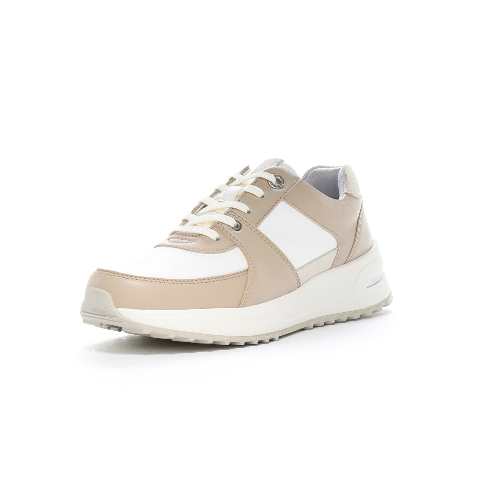 ムーンスター moonSTAR レディーススニーカー SPORTH スポルス 42301374 SP0800【FITHOUSE ONLINE SHOP】