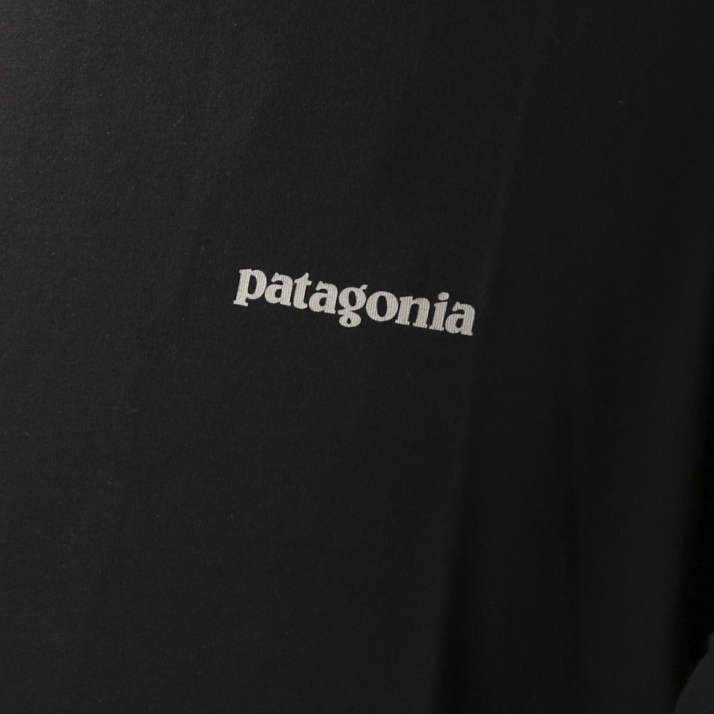 patagonia flying fish logo