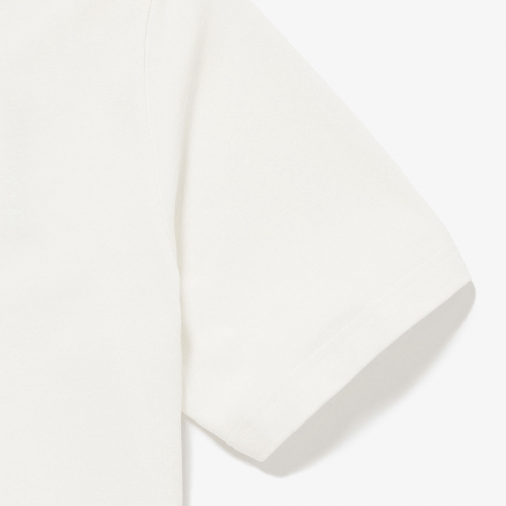 ラコステ LACOSTE メンズトップス バックプリントベーシックTシャツ TH4705-99【FITHOUSE ONLINE SHOP】