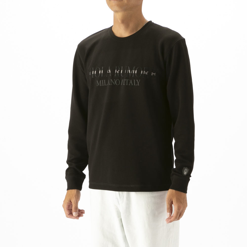 ヴィオラ VIOLA メンズトップス クルーネック 刺繍ロゴ 長袖Tシャツ Y62111【FITHOUSE ONLINE SHOP】