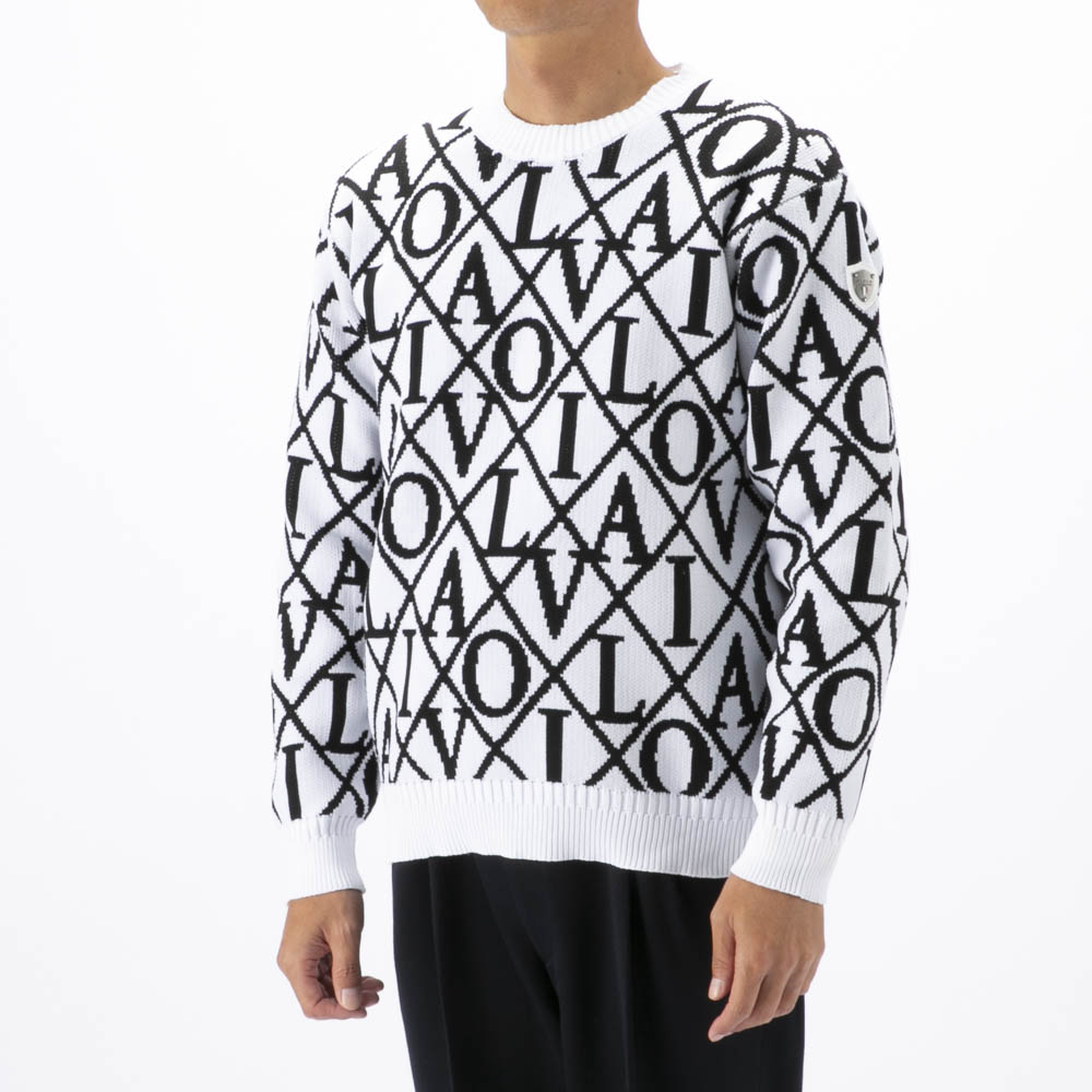 ヴィオラ VIOLA メンズトップス セーター・ニット クルーネック Y62125【FITHOUSE ONLINE SHOP】