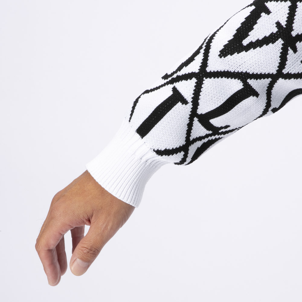 ヴィオラ VIOLA メンズトップス セーター・ニット クルーネック Y62125【FITHOUSE ONLINE SHOP】