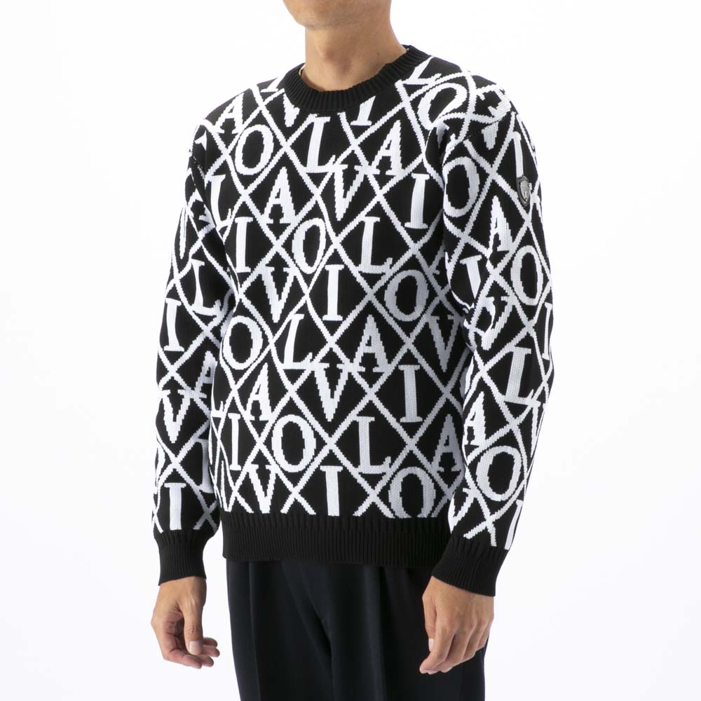 ヴィオラ VIOLA メンズトップス セーター・ニット クルーネック Y62125【FITHOUSE ONLINE SHOP】