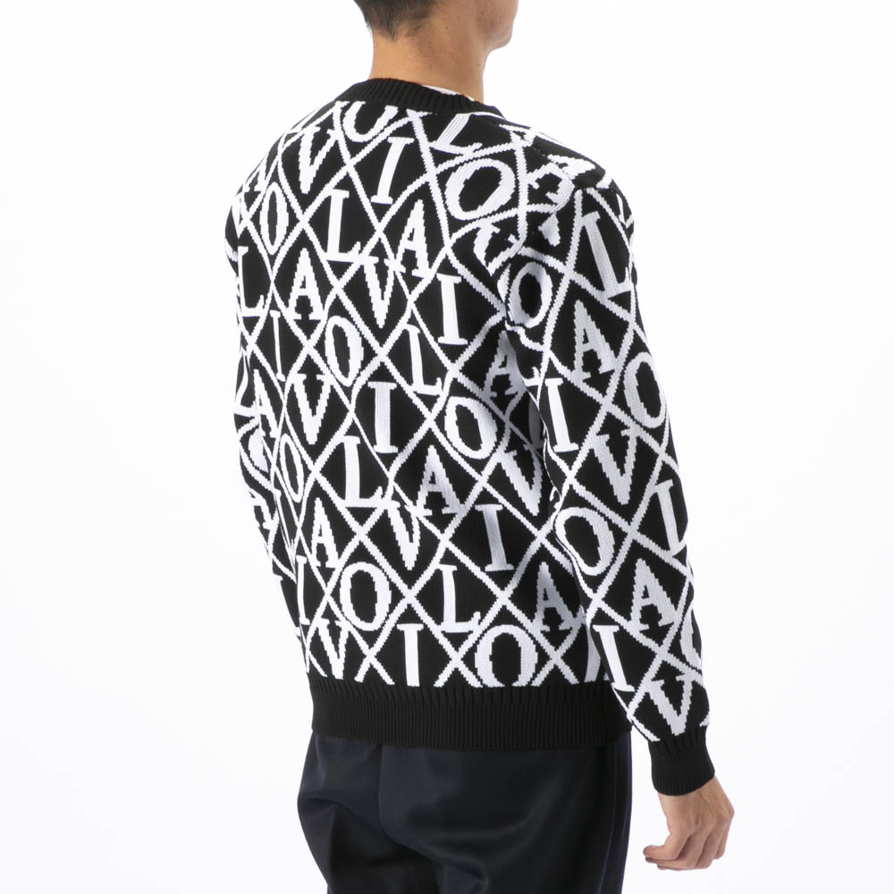 ヴィオラ VIOLA メンズトップス セーター・ニット クルーネック Y62125【FITHOUSE ONLINE SHOP】