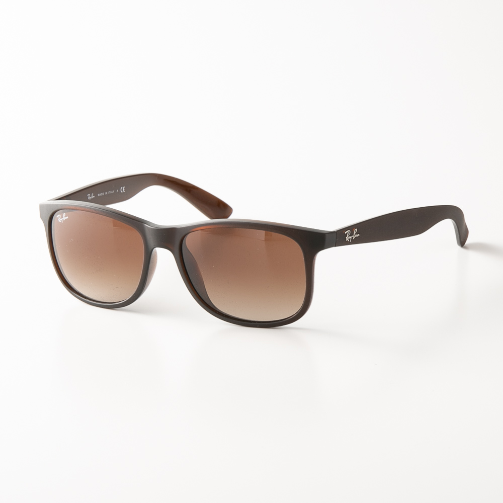 レイバン RAYBAN サングラス ANDY RB4202F【FITHOUSE ONLINE SHOP】