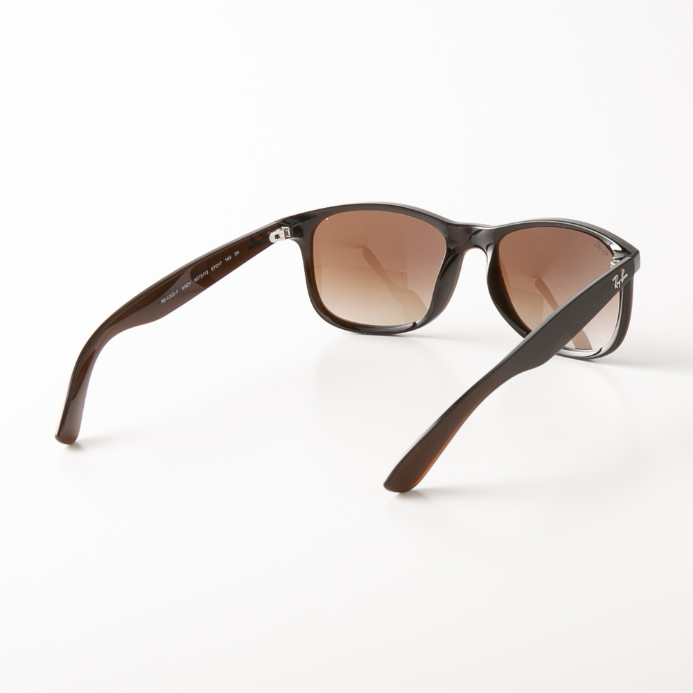 レイバン RAYBAN サングラス ANDY RB4202F【FITHOUSE ONLINE SHOP】