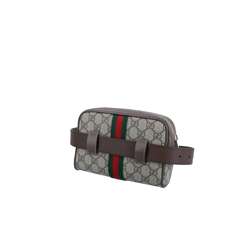 グッチ GUCCI ボディバッグ・ウエストポーチ GGスプリーム OPHIDIA