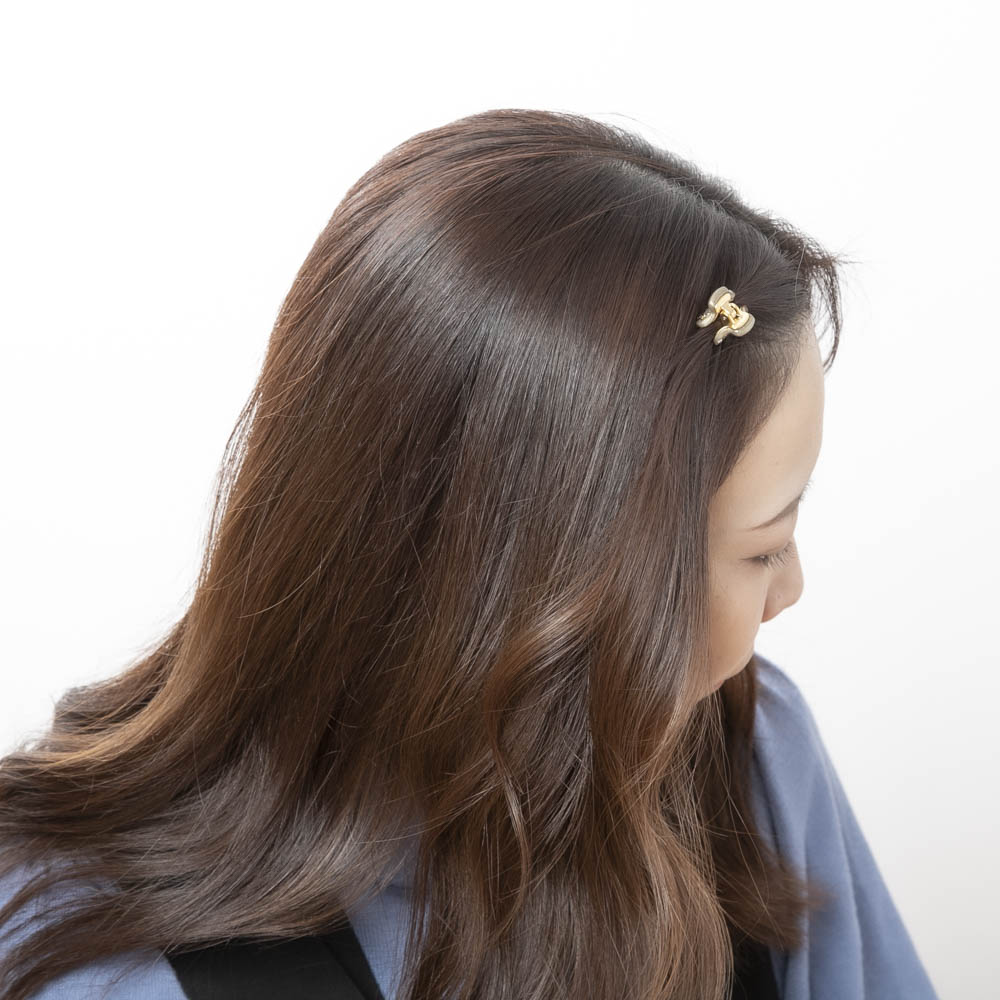 アレクサンドル ドゥ パリ ALEXANDRE DE PARIS ヘアアクセサリー VENDOME XS クリップ ラインストーン ICCXS-14338-03【FITHOUSE ONLINE SHOP】