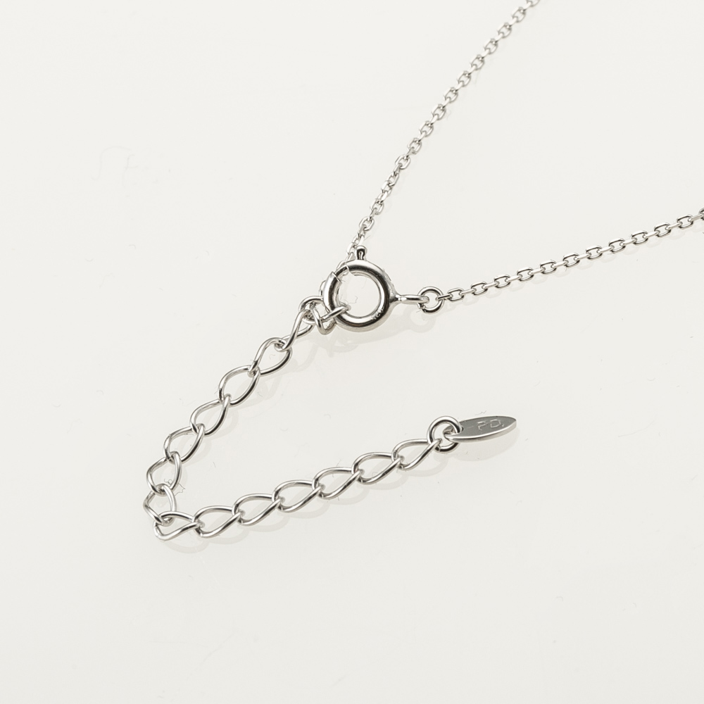 ピンキー＆ダイアン PINKY＆DIANNE ネックレス・ペンダント 2025 クリスマス限定 スパークリー ホースシュー VPCPD51712【FITHOUSE ONLINE SHOP】