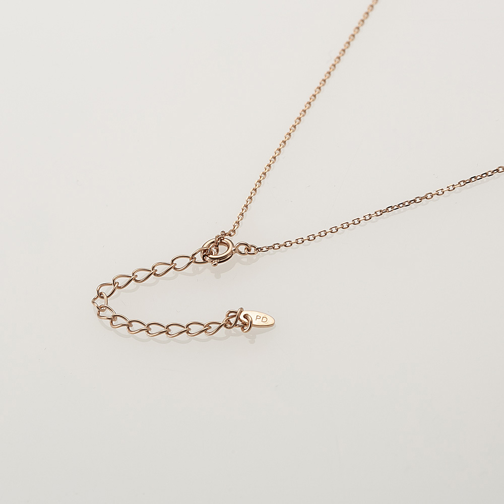 ピンキー＆ダイアン PINKY＆DIANNE ネックレス・ペンダント 2025 クリスマス限定 スパークリー ホースシュー VPCPD51713【FITHOUSE ONLINE SHOP】