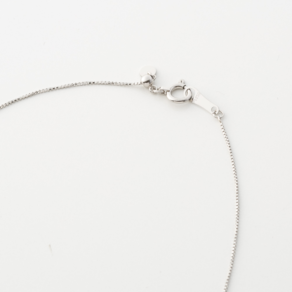 ジュエリー JEWELRY PT900 Dカラーダイヤ 0.25ctup ネックレス TR00102BK【FITHOUSE ONLINE SHOP】
