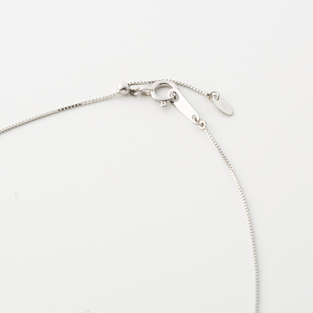 ジュエリー JEWELRY PT900 Ｄカラー 0.2UP ネックレス TR00702BK/PT【FITHOUSE ONLINE SHOP】