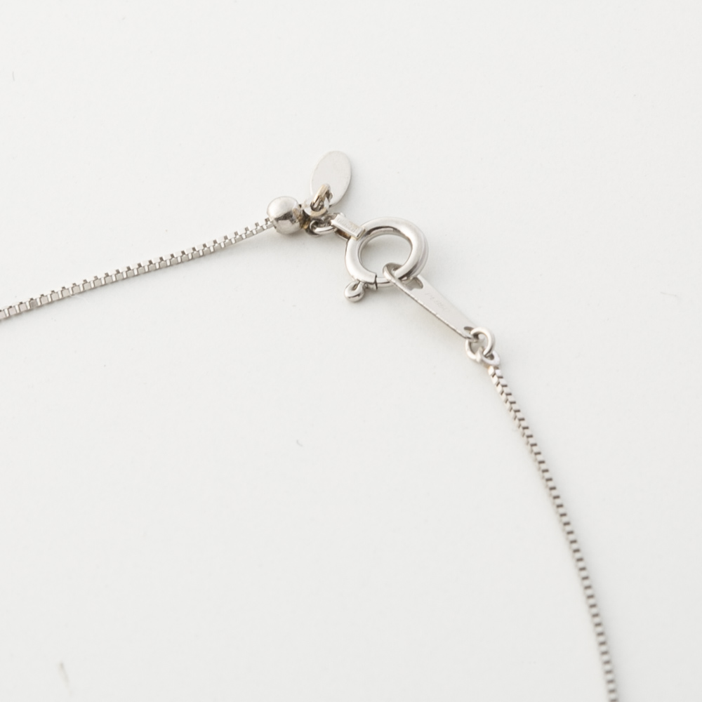 ジュエリー JEWELRY PT900 Dカラー ダイヤ 0.2ctUP ネックレス TR01502BK/PT【FITHOUSE ONLINE SHOP】