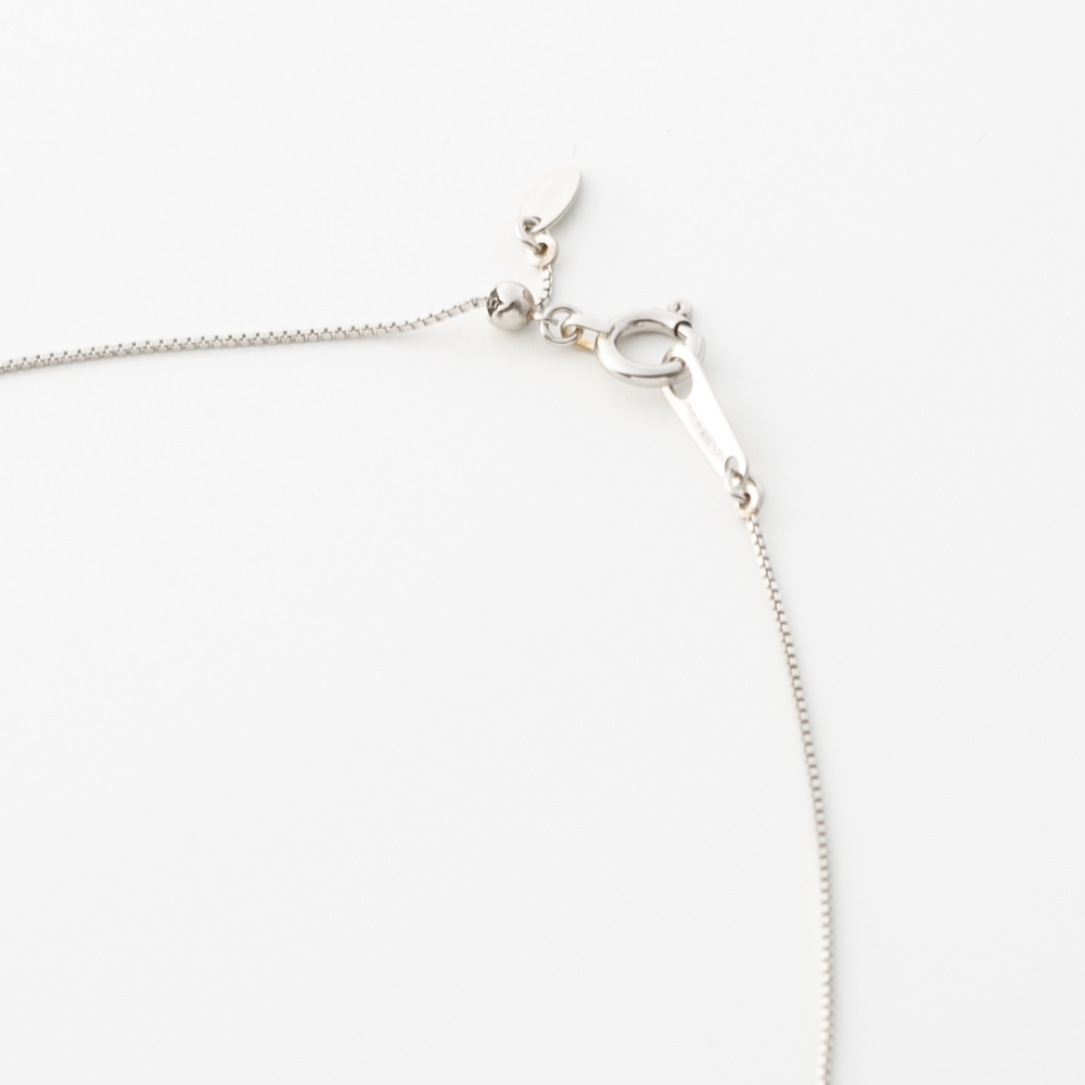 ジュエリー JEWELRY PT900 Dカラー 0.2ctUP ネックレス TR01602BK/PT【FITHOUSE ONLINE SHOP】
