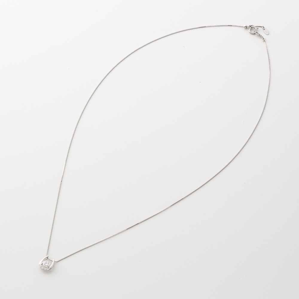 ジュエリー JEWELRY PT900 Dカラー 0.2ctUP ネックレス TR01702BK/PT【FITHOUSE ONLINE SHOP】