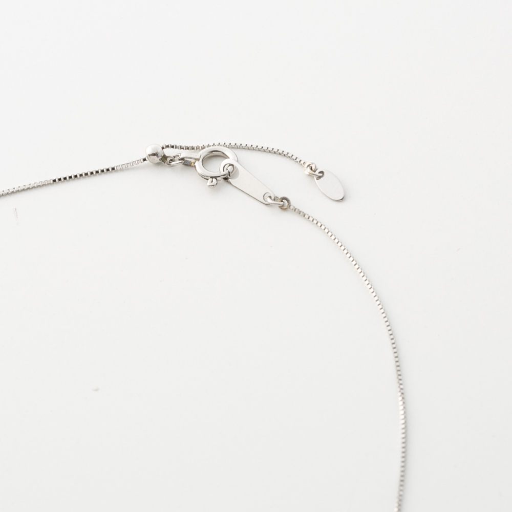 ジュエリー JEWELRY PT900 Dカラー ダイヤ 0.2ctUP ネックレス TR02002BK/PT【FITHOUSE ONLINE SHOP】