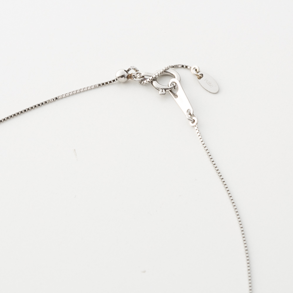 ジュエリー JEWELRY PT900 Dカラー ダイヤ 0.2ctUP ネックレス TR01902BK/PT【FITHOUSE ONLINE SHOP】