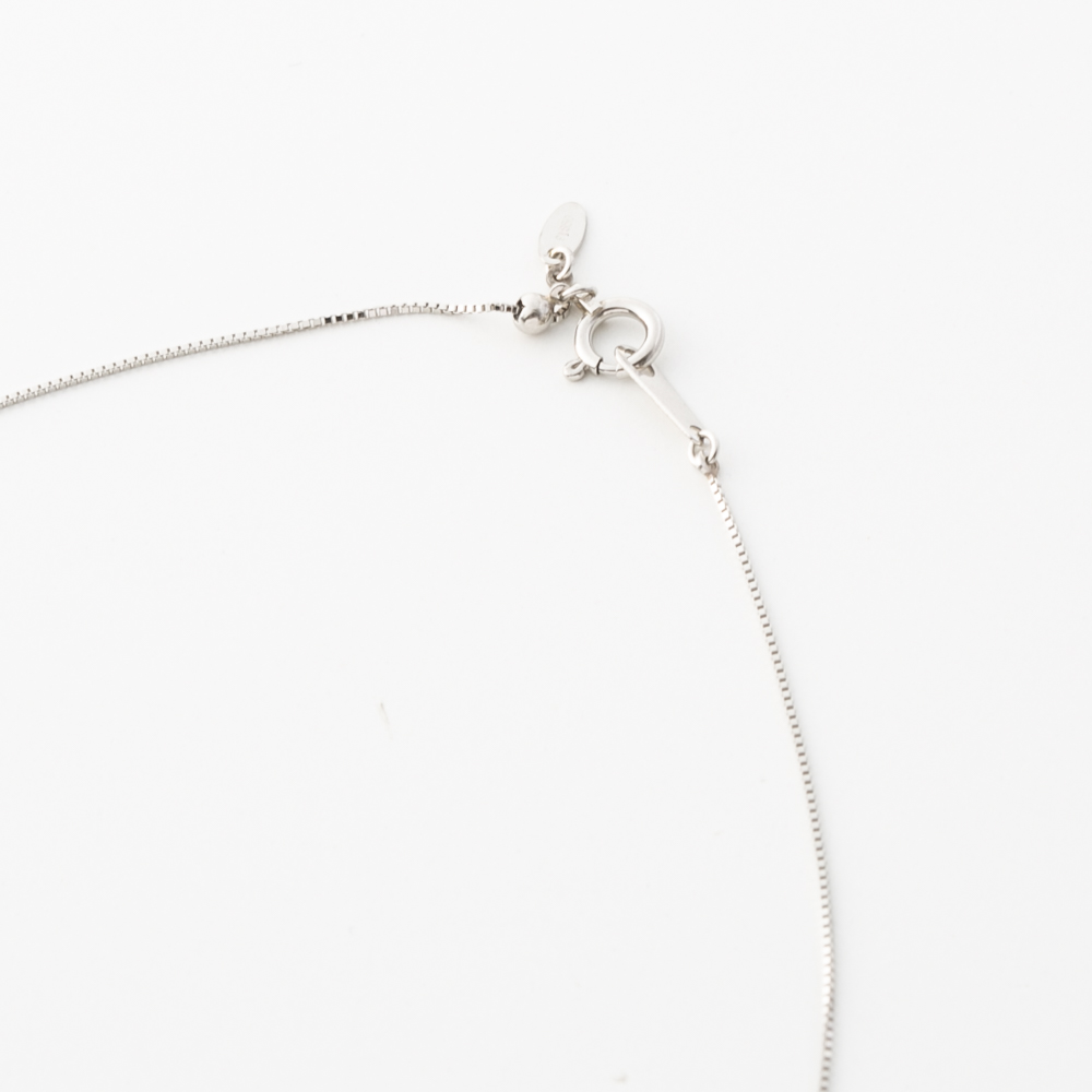 ジュエリー JEWELRY PT900 Dカラー ダイヤ 0.2ctUP ネックレス TR02302BK/PT【FITHOUSE ONLINE SHOP】