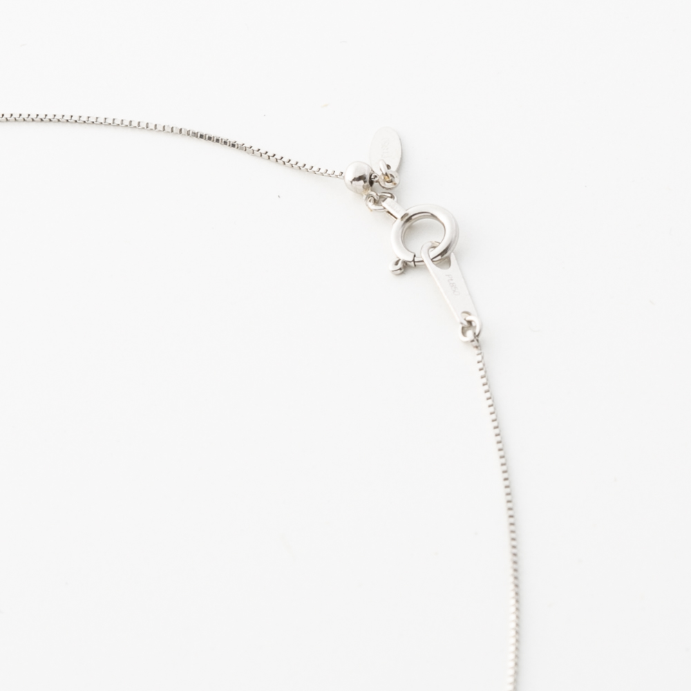 ジュエリー JEWELRY PT900 Ｄカラー 0.2UP ネックレス TR05302BK/PT【FITHOUSE ONLINE SHOP】