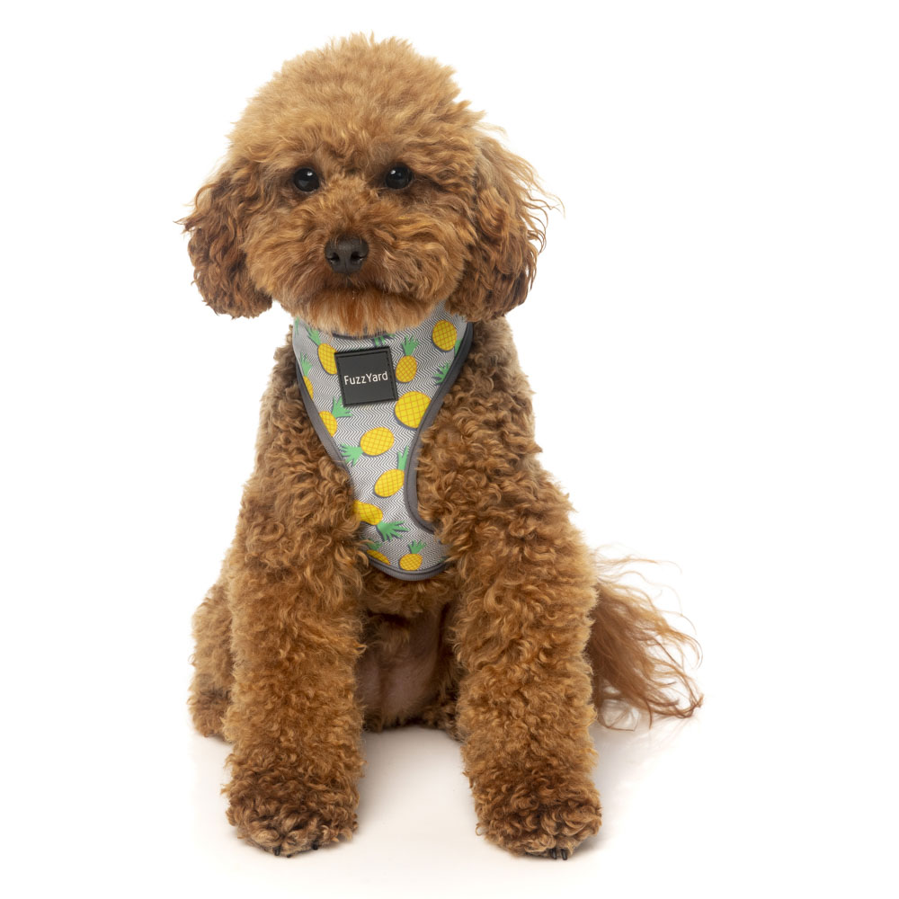 ファズヤード FuzzYard ペットグッズ 犬猫用品 ソフトハーネス ピニャ・コラーダ H13322 XSサイズ【FITHOUSE ONLINE SHOP】
